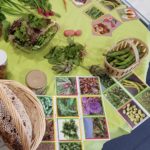 Colinéo récrute un.e animateur/animatrice environnement