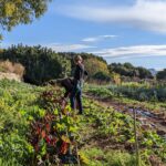 Cycle d&rsquo;Ateliers « Biodiversité au Jardin »