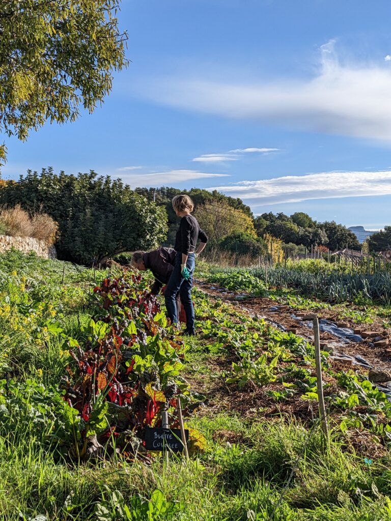 Cycle d&rsquo;Ateliers « Biodiversité au Jardin »
