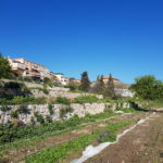 Formation agro-écologique Jardins collectifs