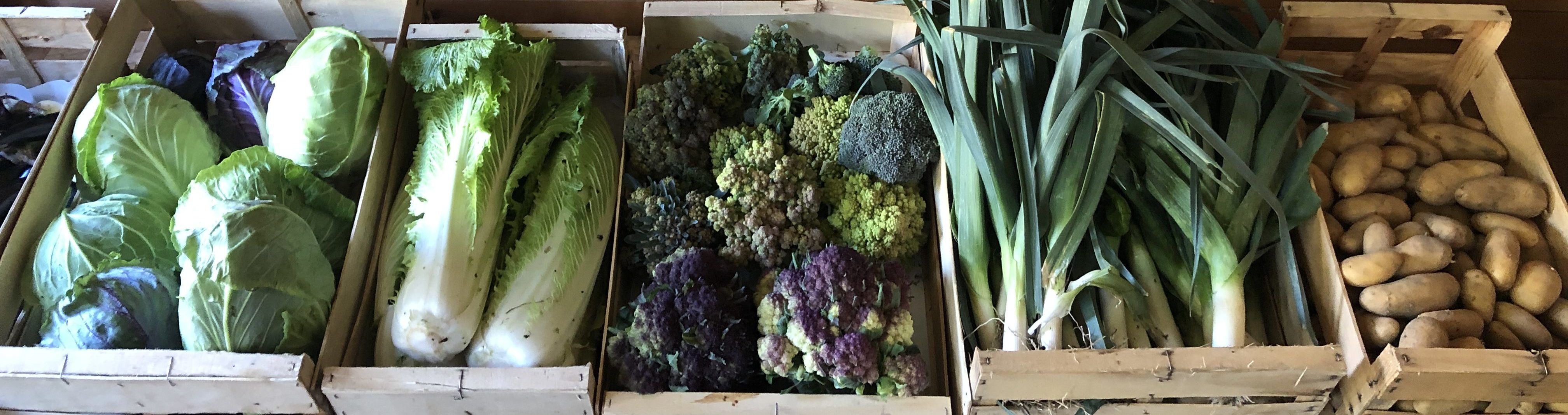 Points de vente du Conservatoire des Restanques – 4 février