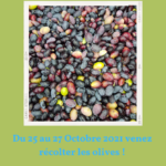 Les Olivades 2021 !