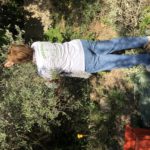 Retour sur les olivades !