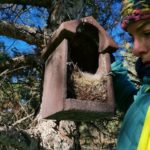 Zoom sur les nichoirs de la Petite Etoile