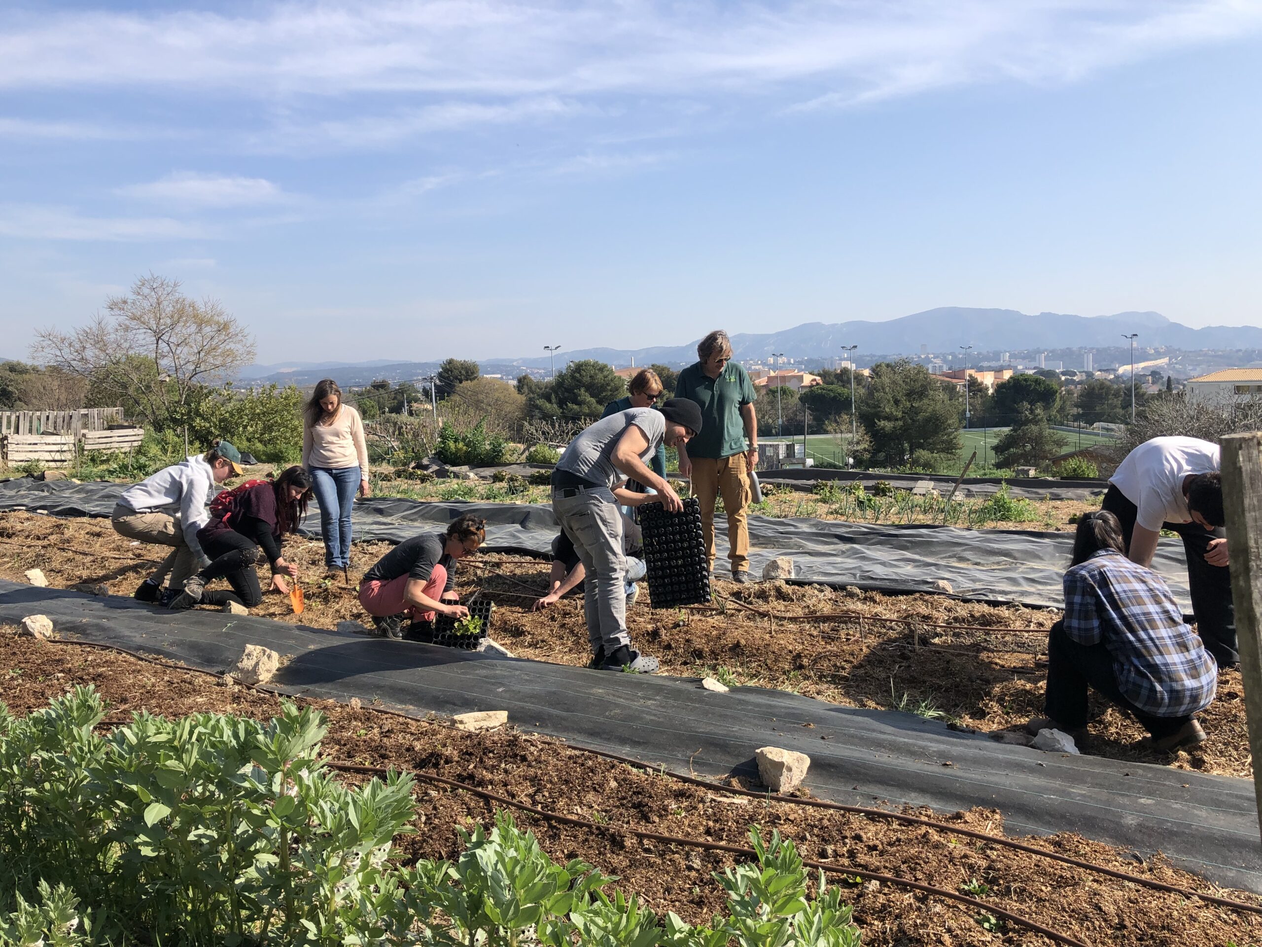 Chantier Nature bénévole – 11 février