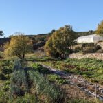 Recherche de volontaire en service civique pour 2026 !