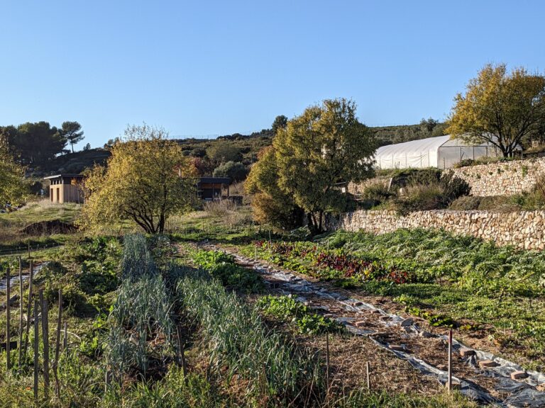 Recherche de volontaire en service civique pour 2026 !
