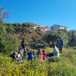 Le Stage des Petits naturalistes et City Nature Challenge 