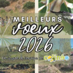 Meilleurs vœux 2026