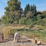 Nouvel aménagement du bord de l&rsquo;Huveaune ouvert à tous