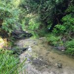 Le Jarret dans tous ses états !