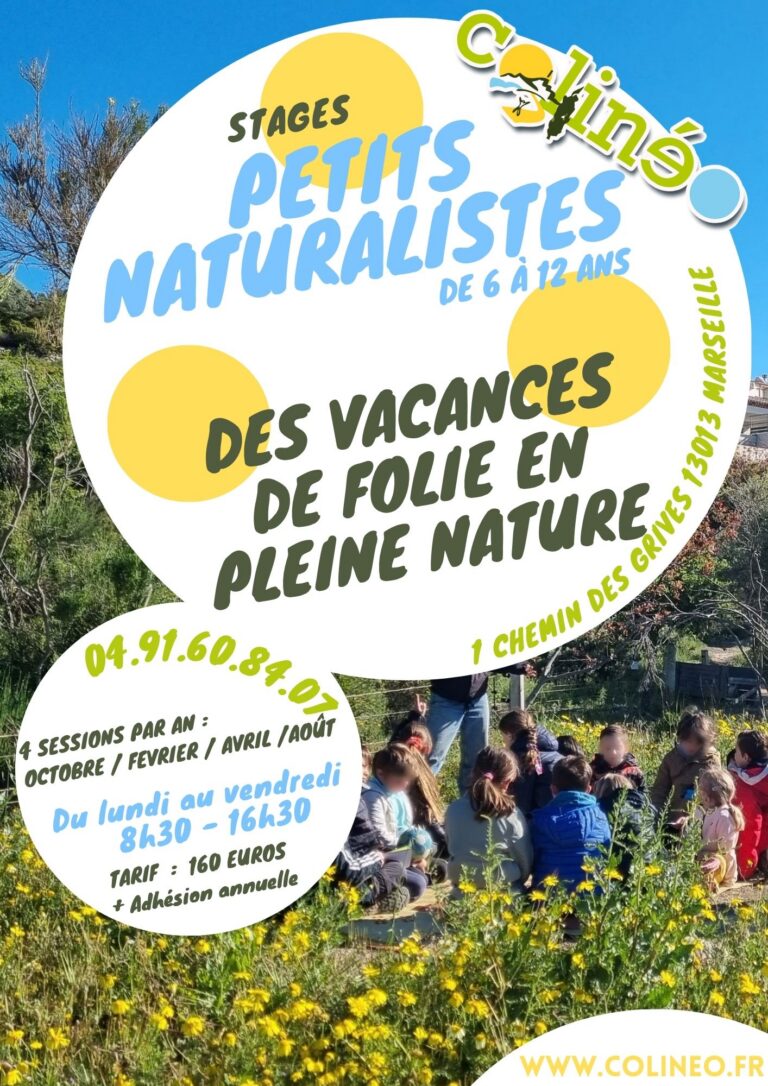 Les inscriptions pour les stages enfants sont ouverts !